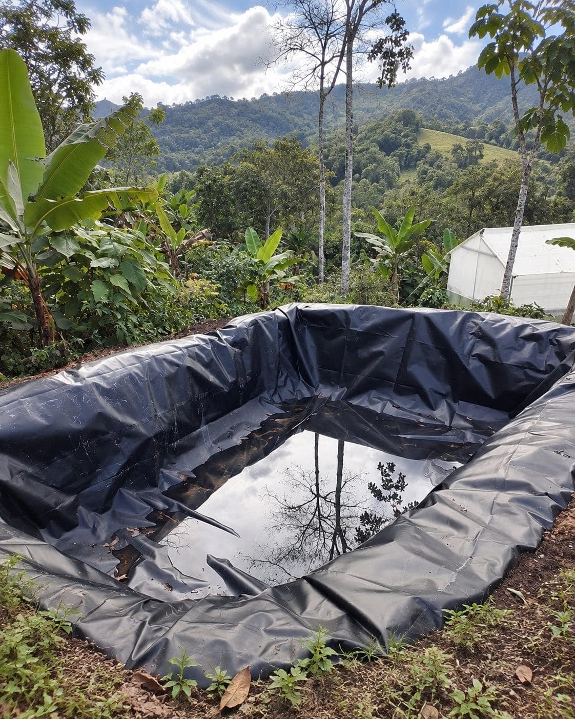 Foto 7 de Geomembranas en campo