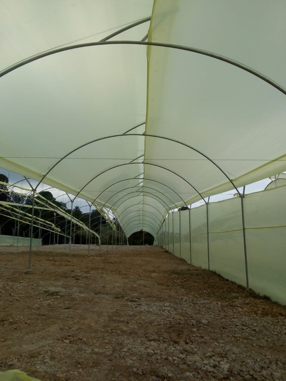 Foto 2 de Construcción de invernaderos en campo