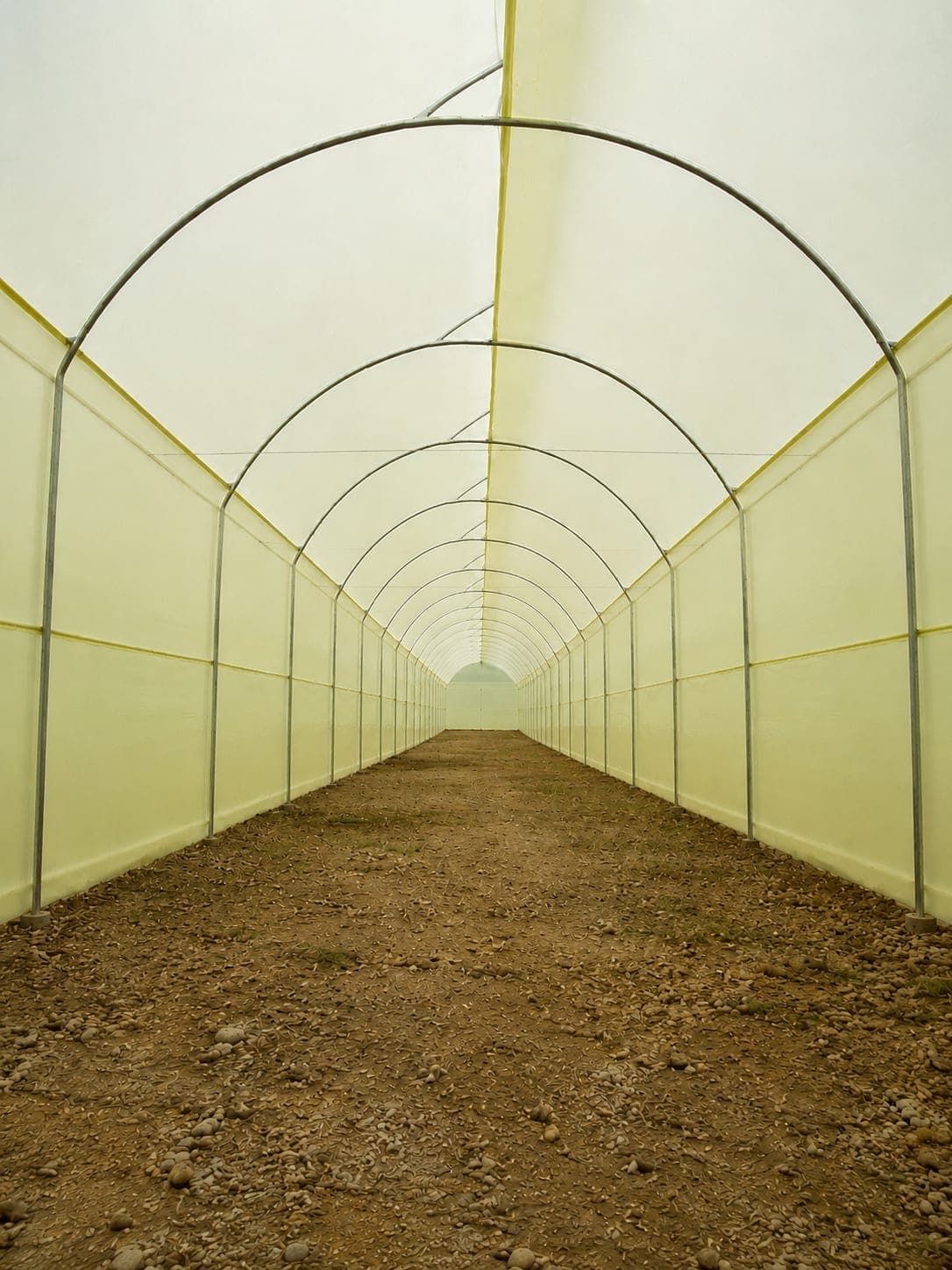 Foto 4 de Construcción de invernaderos en campo