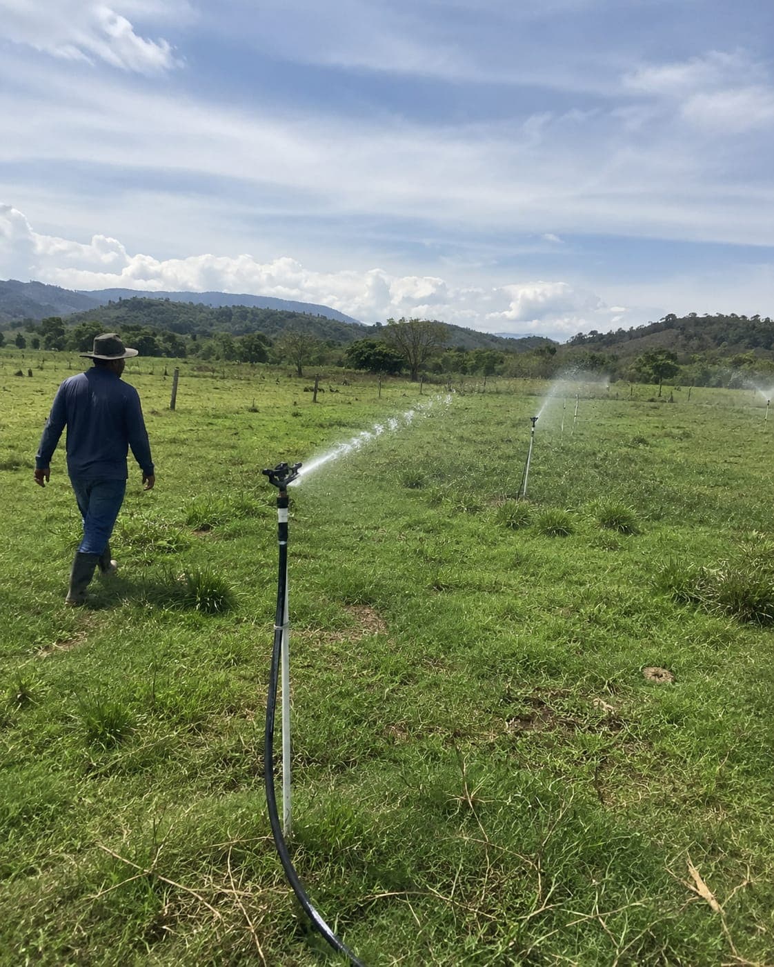 Foto del proyecto: Pastoreo rotacional