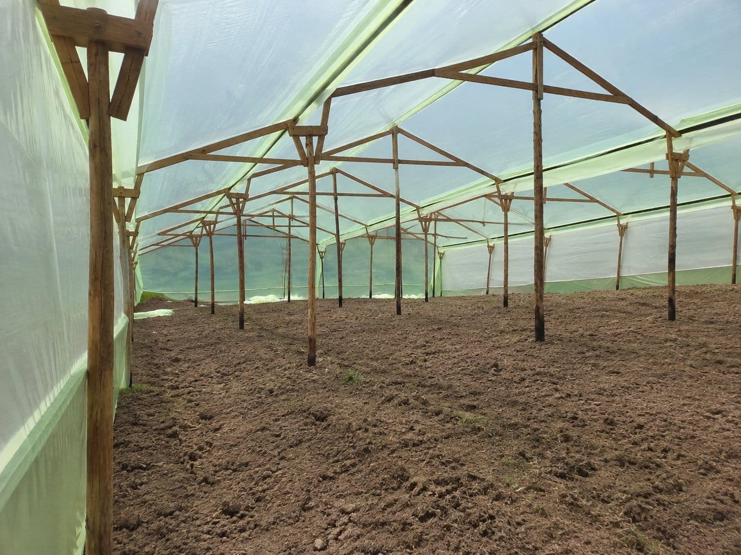 Estructura del invernadero, vista interior