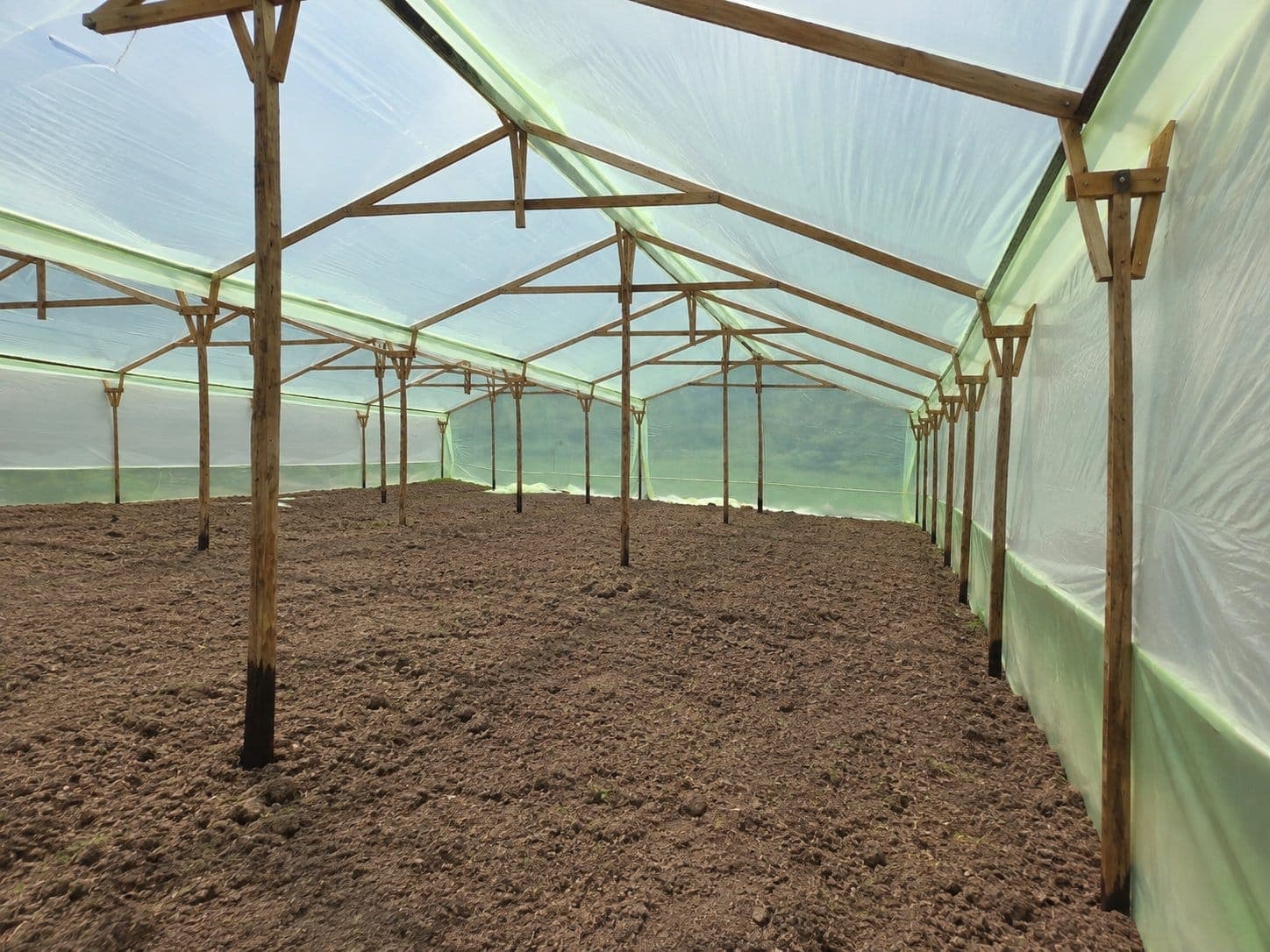Interior del invernadero, terreno preparado