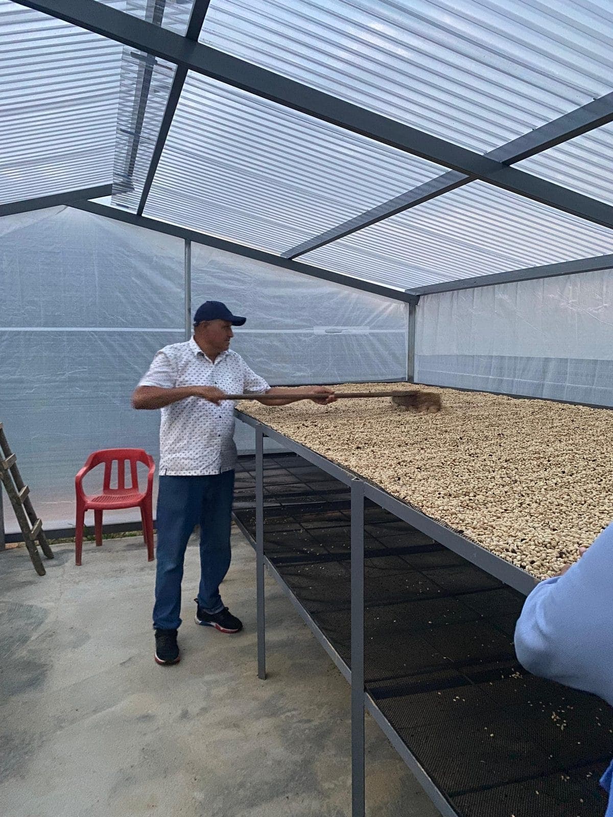 Volteo del café durante el secado